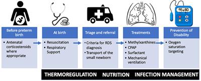 Respiratory distress syndrome management in resource limited settings—Current evidence and opportunities in 2022